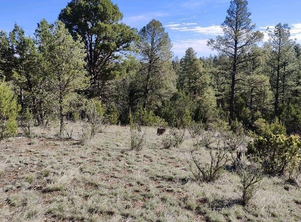 2316 Thunderbird Circle, Overgaard, AZ 85933