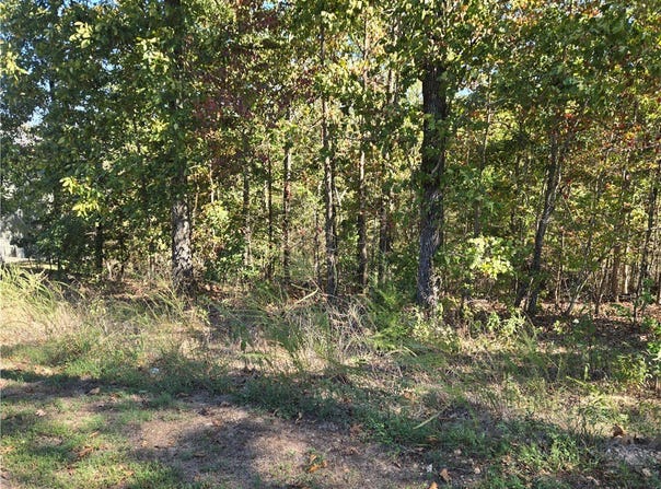 Murphy Drive lot: 13, Bella Vista, AR 72715