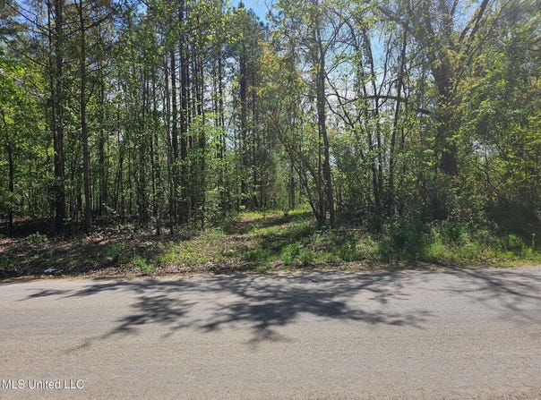 600 County Rd. 431, Ripley, MS 38663