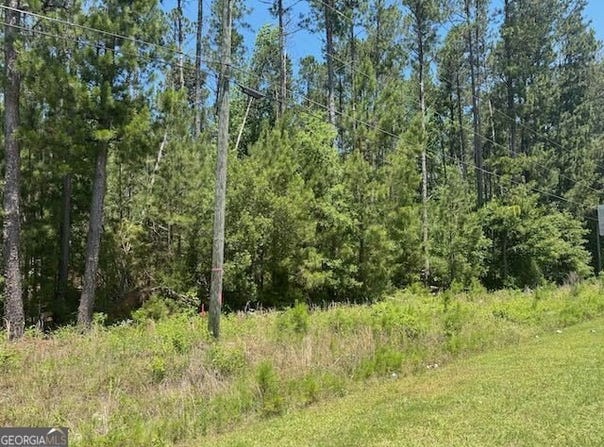 Lot 3 Matthews, Tennille, GA 31089