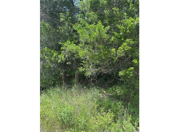 0 Chestnut Drive, Caldwell, TX 77836