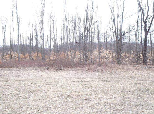 Chief ''C'' Road, Bear Lake, MI 49614