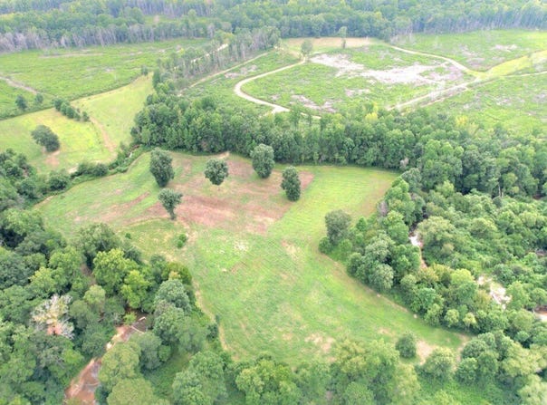 0 Reedy Branch Road, Hamilton, AL 35570