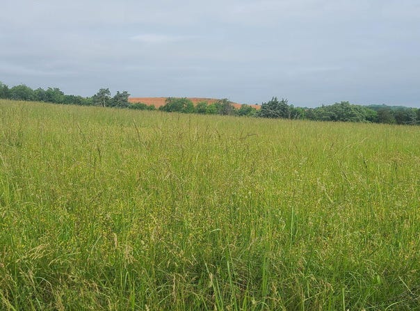Lot 5 Valley Home Road, Dandridge, TN 37725