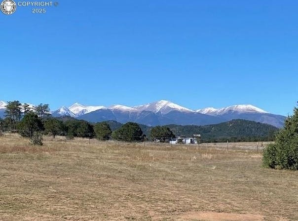 2026 L Path Path, Cotopaxi, CO 81223
