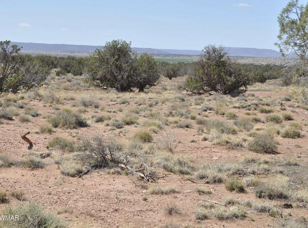 29A CR N9080, Concho, AZ 85924