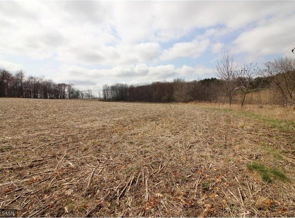 Xxx 690th Street, Martell Twp, WI 54022