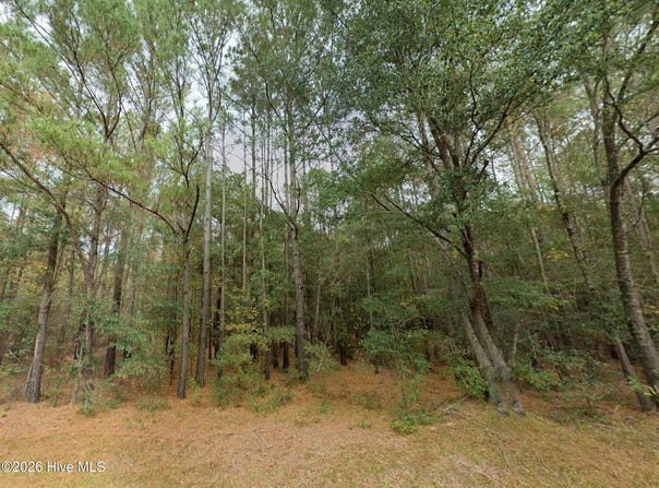 Shiloh Road, Willard, NC 28478