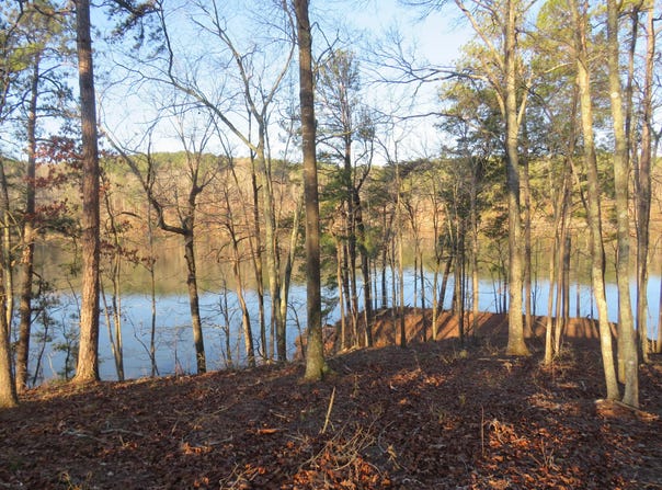 ROCK RIDGE LANE lot: #3, Arley, AL 35541