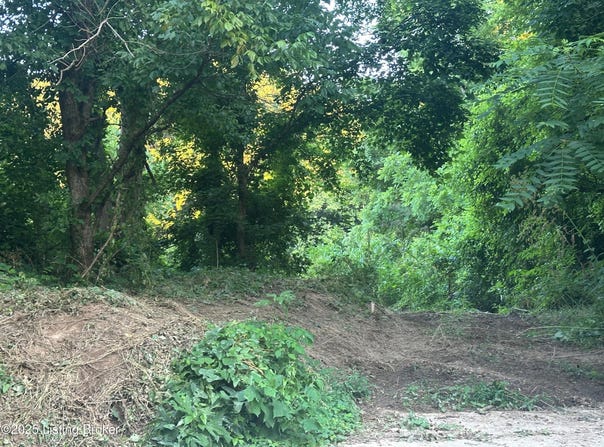 0 Highway 49, Bradfordsville, KY 40009