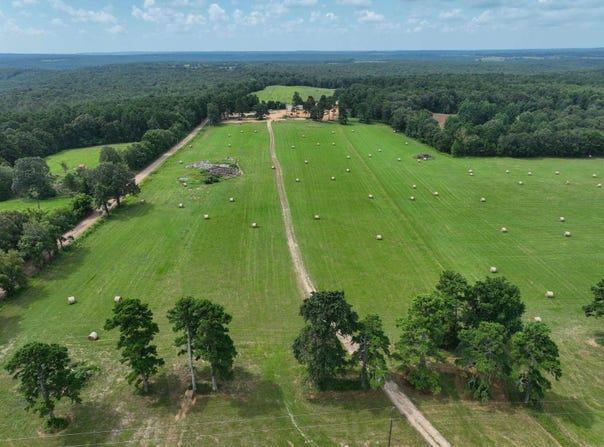 548 Cornerstone Road, Pleasant Plains, AR 72568