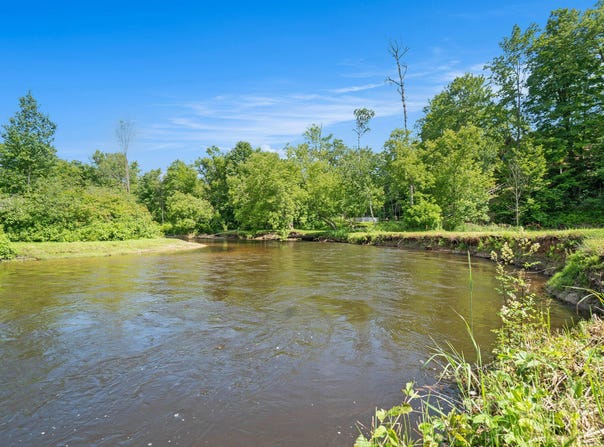 9596 Meyers Road, Wolverine, MI 49799