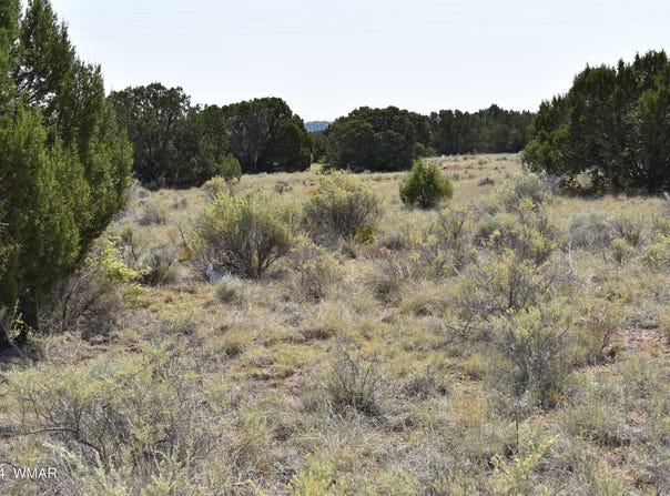 18 Crest Lane, Concho, AZ 85924