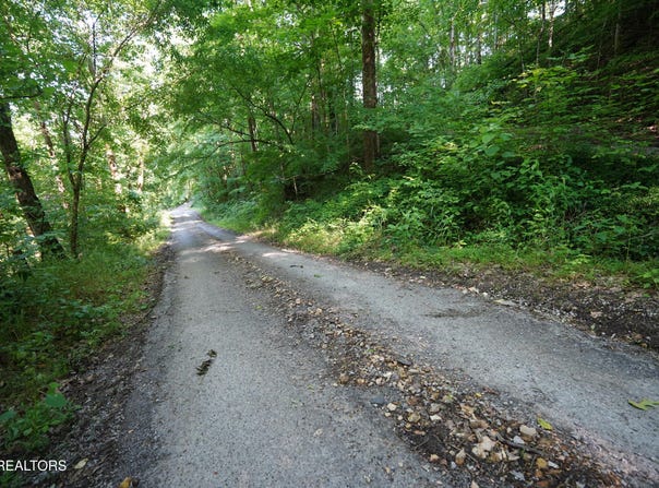 Holiday Haven Rd, Smithville, TN 37166