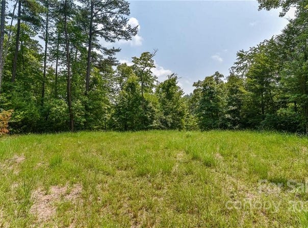 The Vines Boulevard lot: 4, Marshall, NC 28753