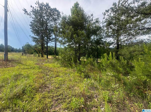 0 COUNTY ROAD 349, MAPLESVILLE, AL 36750