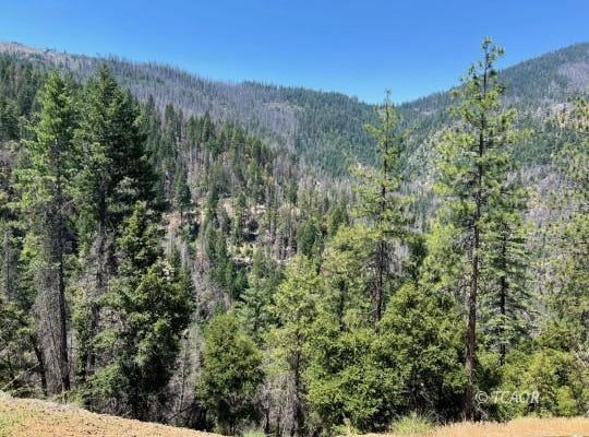 000 Hayfork Summit, Junction City, CA 96048