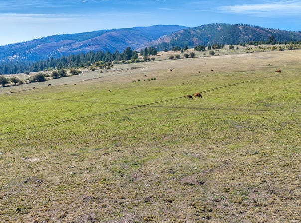 Willow Highlands, Florence, MT 59833