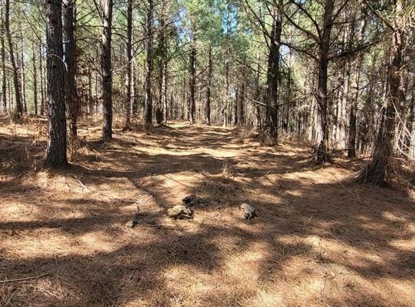 0 Lot 47 Saddleback Dr, DOVER, TN 37058