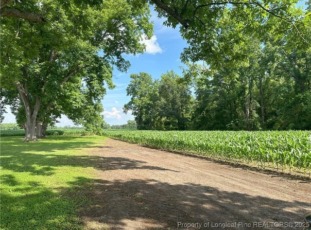 Pleasant Hope Road lot: A, Lumberton, NC 28340
