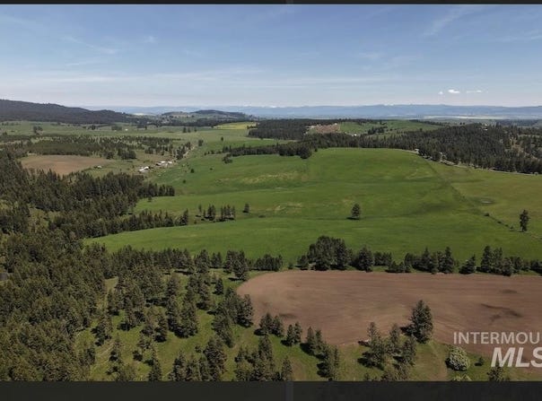 Rieman Rd, CottonWood, ID 83522