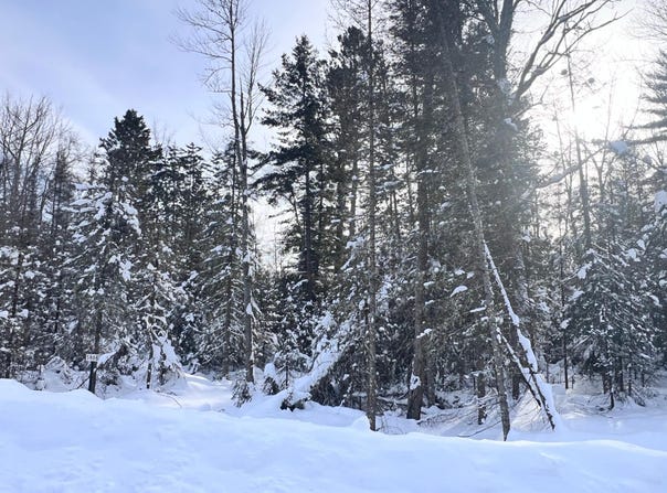 BUTTERNUT CIR lot: 13, Eagle River, WI 54521