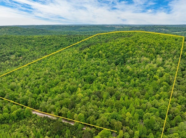 1505 Brushy Creek Road, Mountain View, AR 72560
