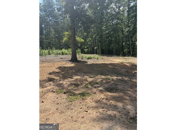 10130 Rivertown, Fairburn, GA 30213