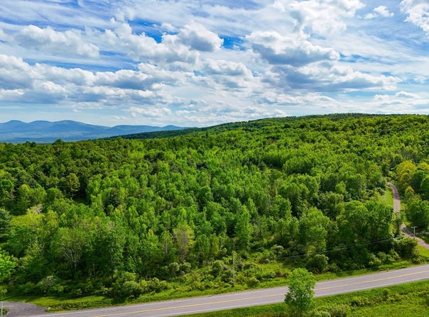 00WP3 Cr 352, Medusa, NY 12120
