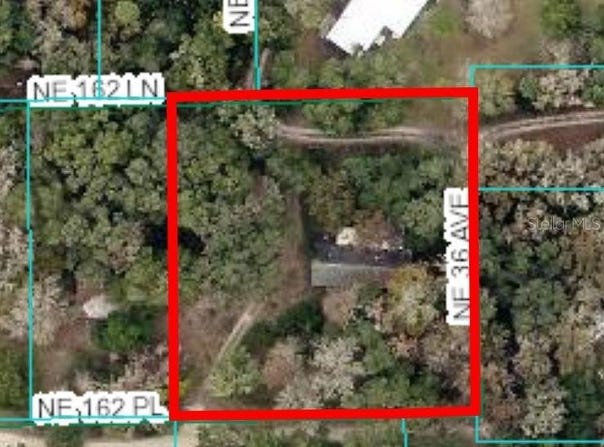 3597 NE 162ND PLACE, CITRA, FL 32113
