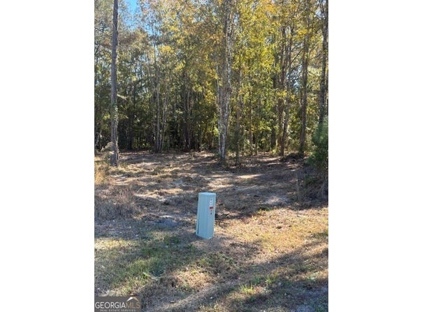136 Herrin Road, Woodbine, GA 31569