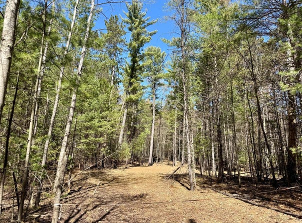 9276 BLACK PINE LN, Minocqua, WI 54548