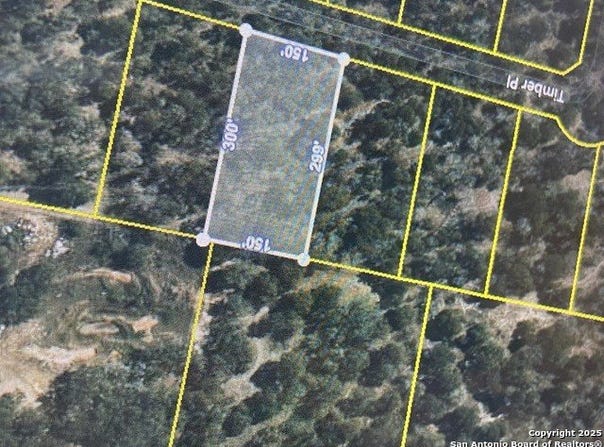 205 Timber, La Vernia, TX 78121
