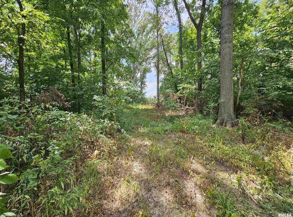 0000 N Cash Lane, Waltonville, IL 62894