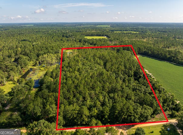 12.05 Acress Roundtree, Quitman, GA 31643
