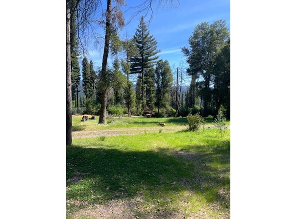 500 Wildberry DR, BOULDER CREEK, CA 95006