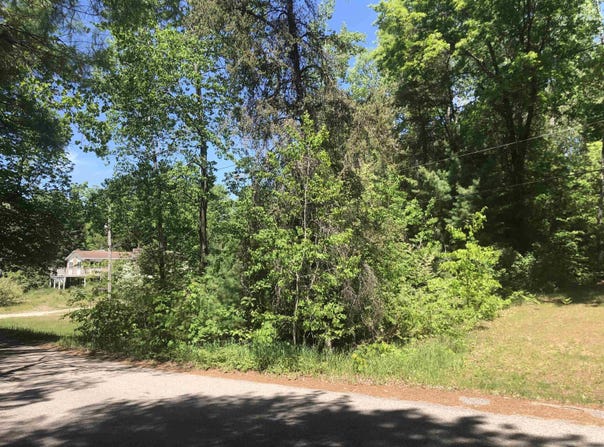 N SCOTT, Farwell, MI 48622