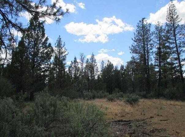 10 Tepee Lane, Sprague River, OR 97639