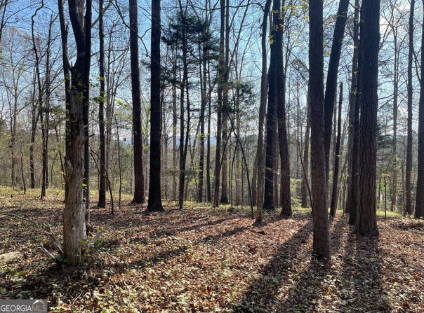 TRACT 1B CHALCREST Way, Cave Spring, GA 30124