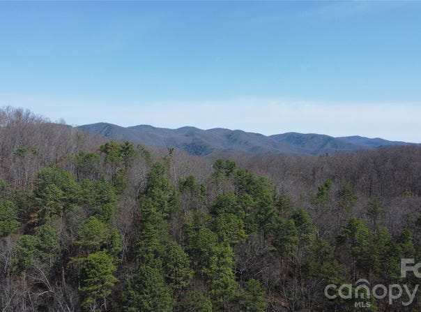 Wilderness Road, Hays, NC 28635