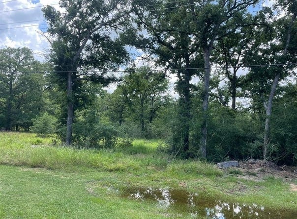 3495 Lcr 750, Thornton, TX 76687