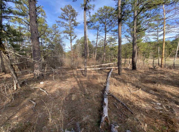 400 Tree Farm Road, Melbourne, AR 72556