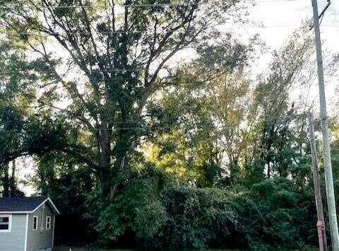 Lot 53 S Pine Street, Warsaw, NC 28398