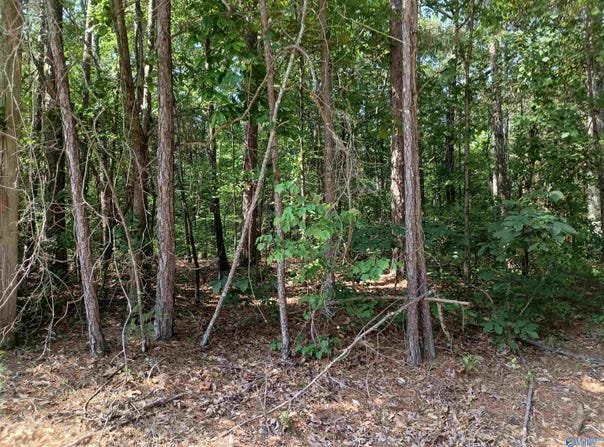 1 Arledge Drive, Attalla, AL 35954