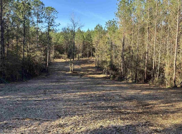 Straw Bridge Rd lot: 60, Jay, FL 32565