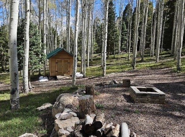 571 Crest Drive, Cimarron, CO 81220