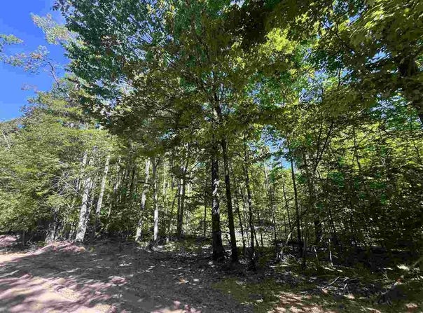 TBD Matz, Boyne Falls, MI 49713