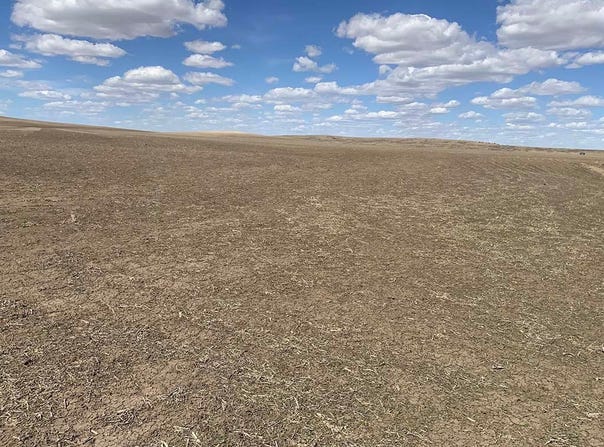 TBD Highway 63, Norris, SD 57560