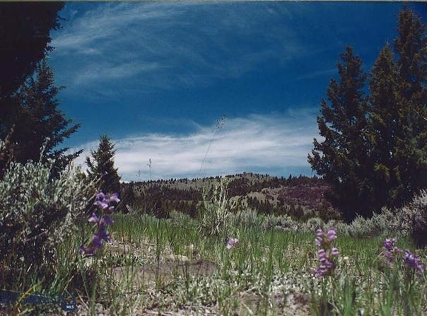 Lookout Trail, Ramsay, MT 59701