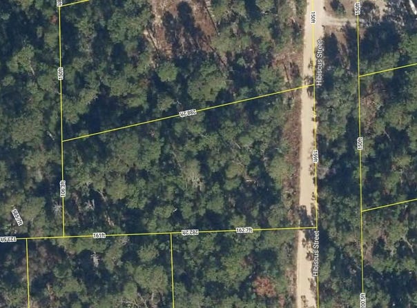 107 HIBISCUS Street, POMONA PARK, FL 32181